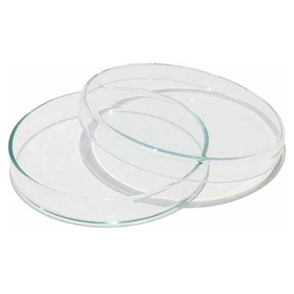 Petri Dish with Lid